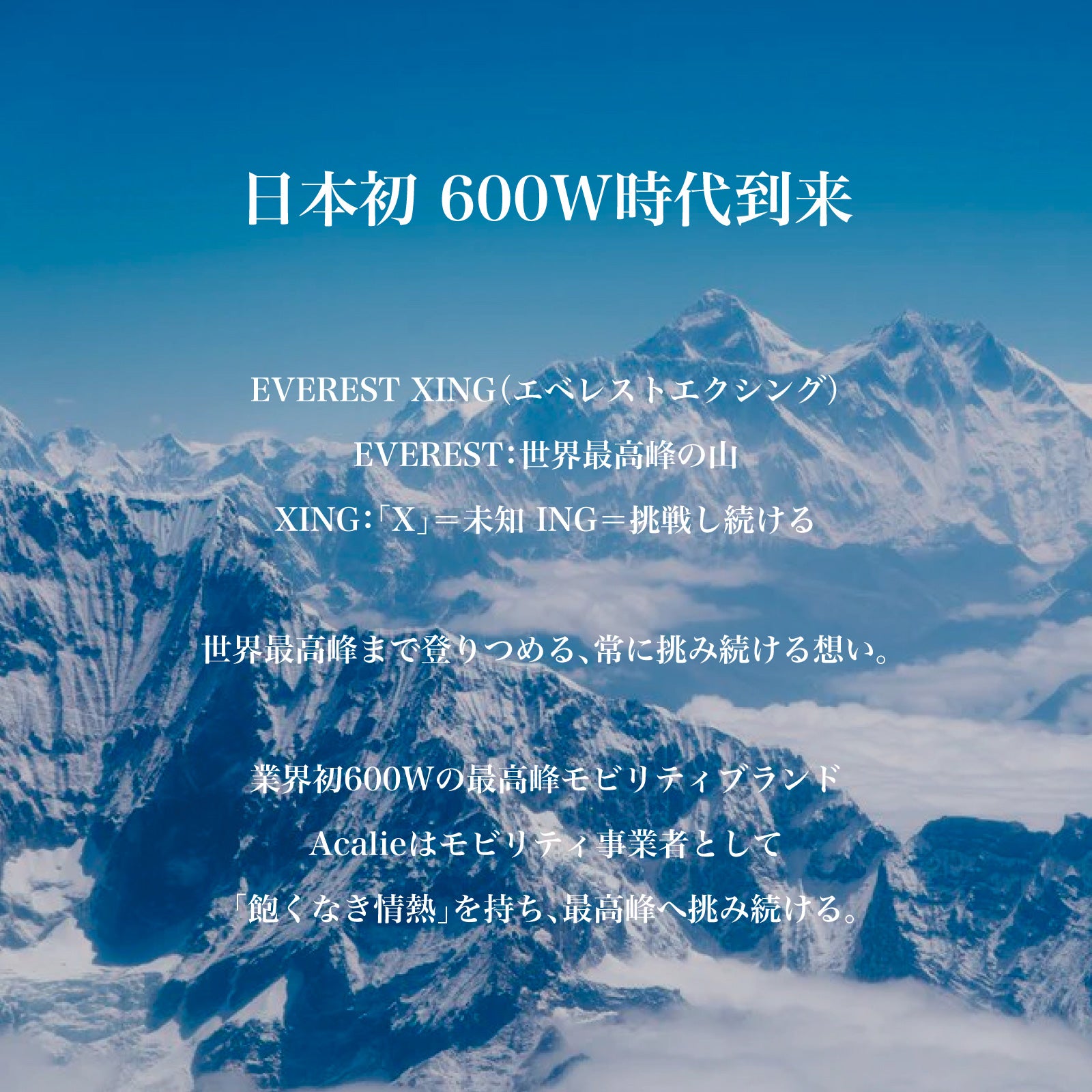 EVEREST XING EX15 PRO│ 600Wモーター搭載│特定小型原付モデル│電動キックボード